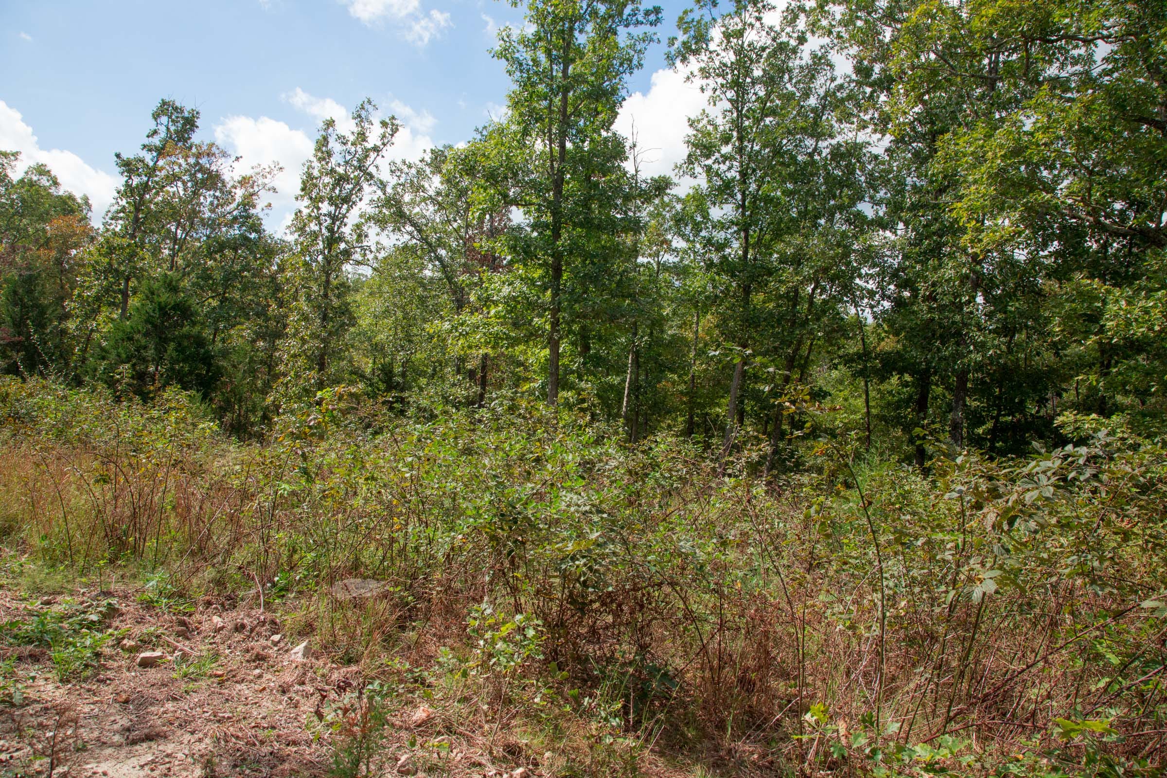 Wagon Wheel Ranch Tract 46 photo 3