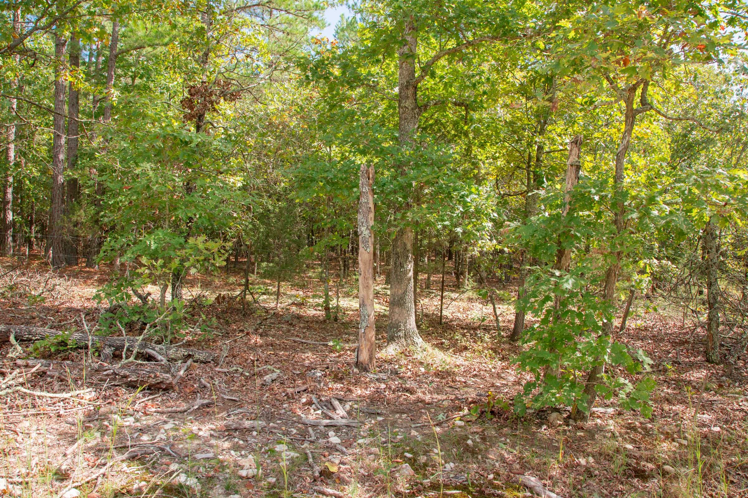 Wagon Wheel Ranch Tract 46 photo 5