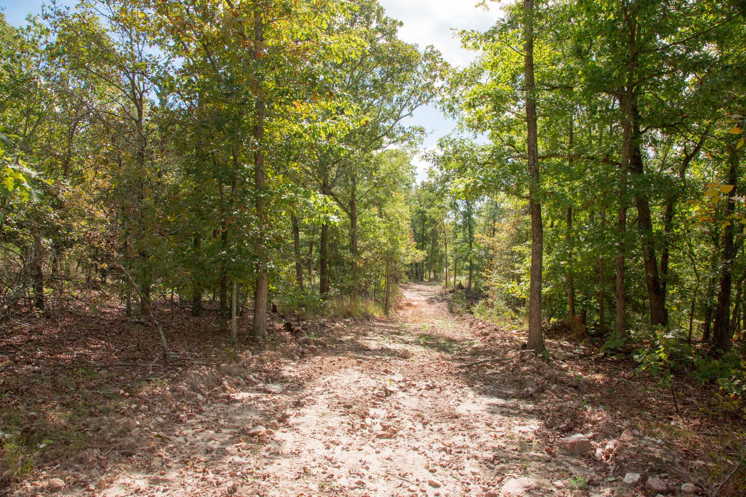 Wagon Wheel Ranch Tract 46 photo 6