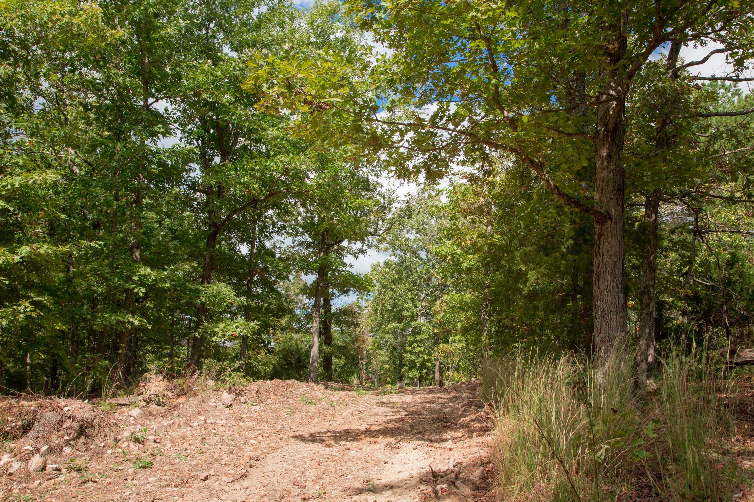 Wagon Wheel Ranch Tract 46 photo 8