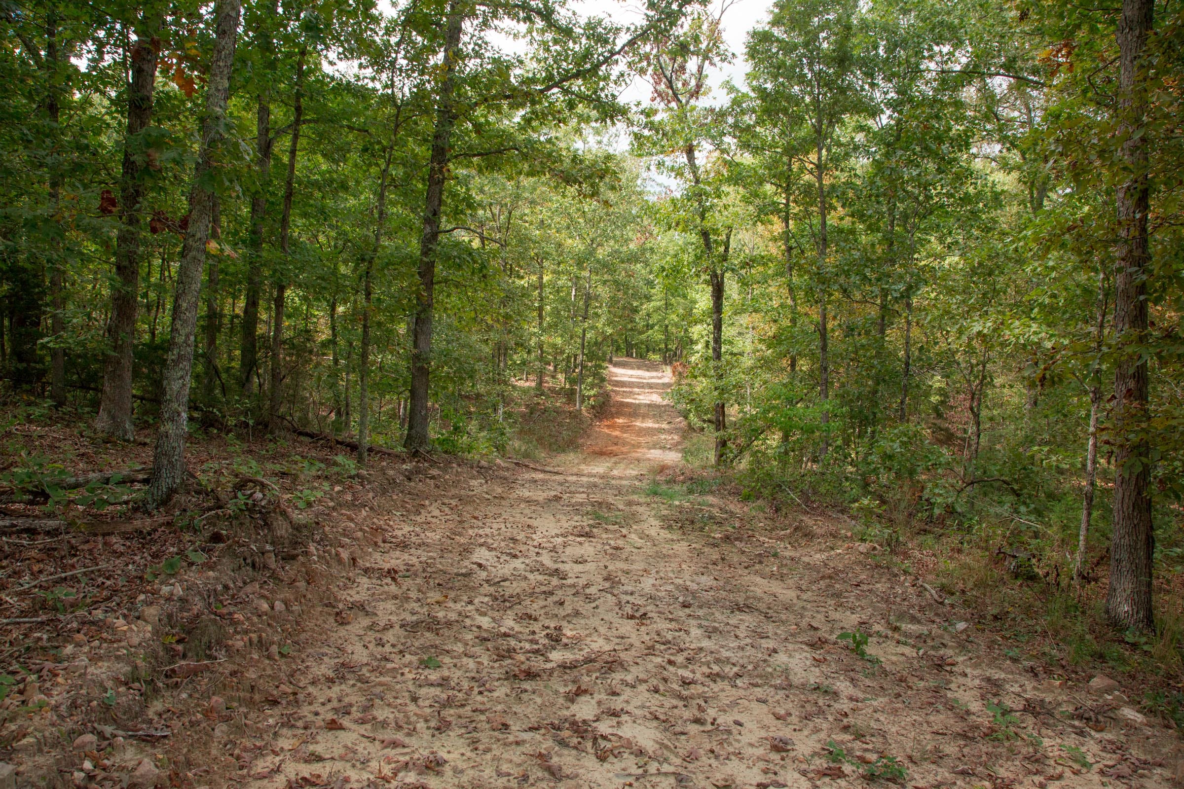 Wagon Wheel Ranch Tract 46 photo 12