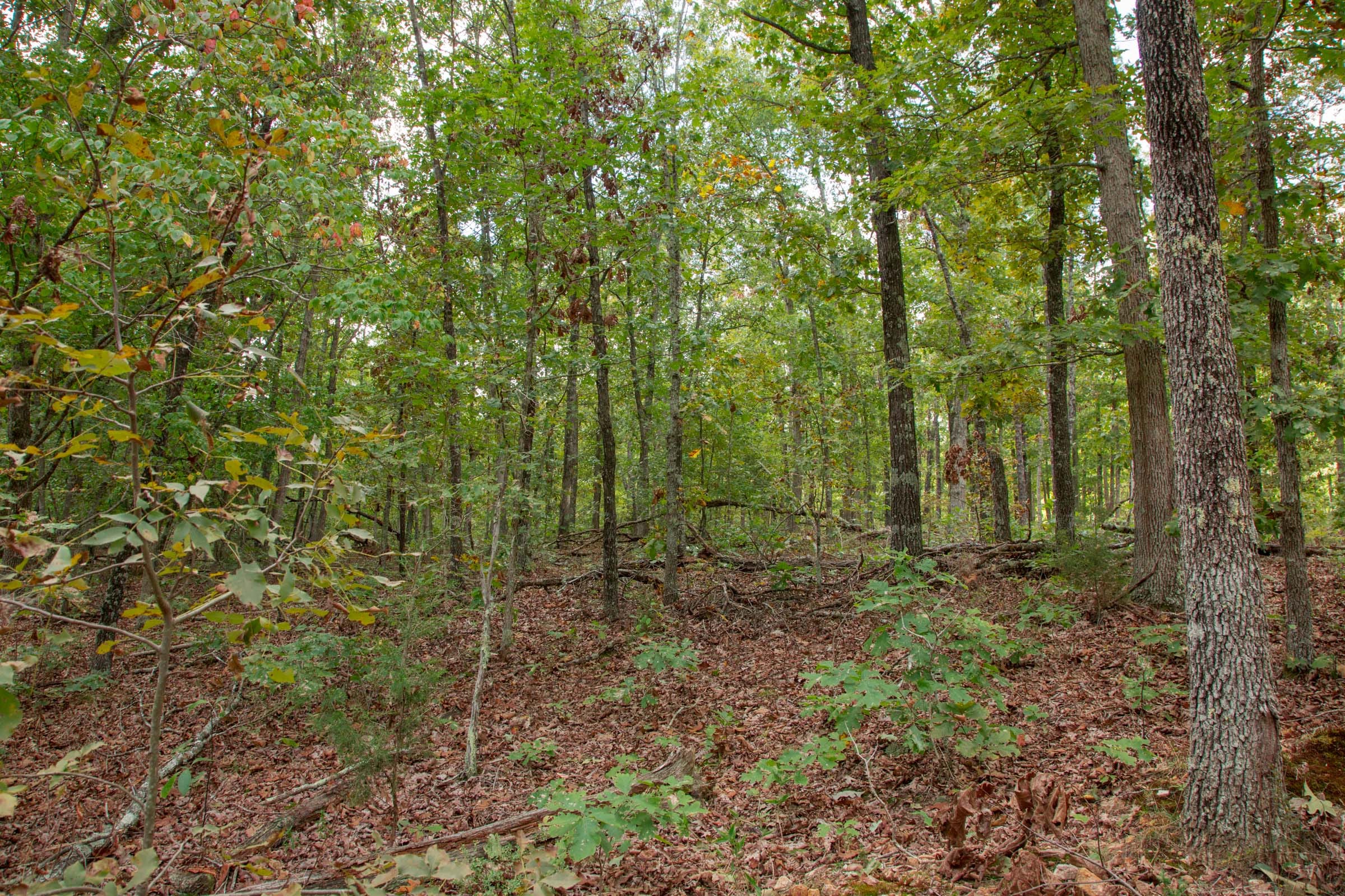 Wagon Wheel Ranch Tract 46 photo 13