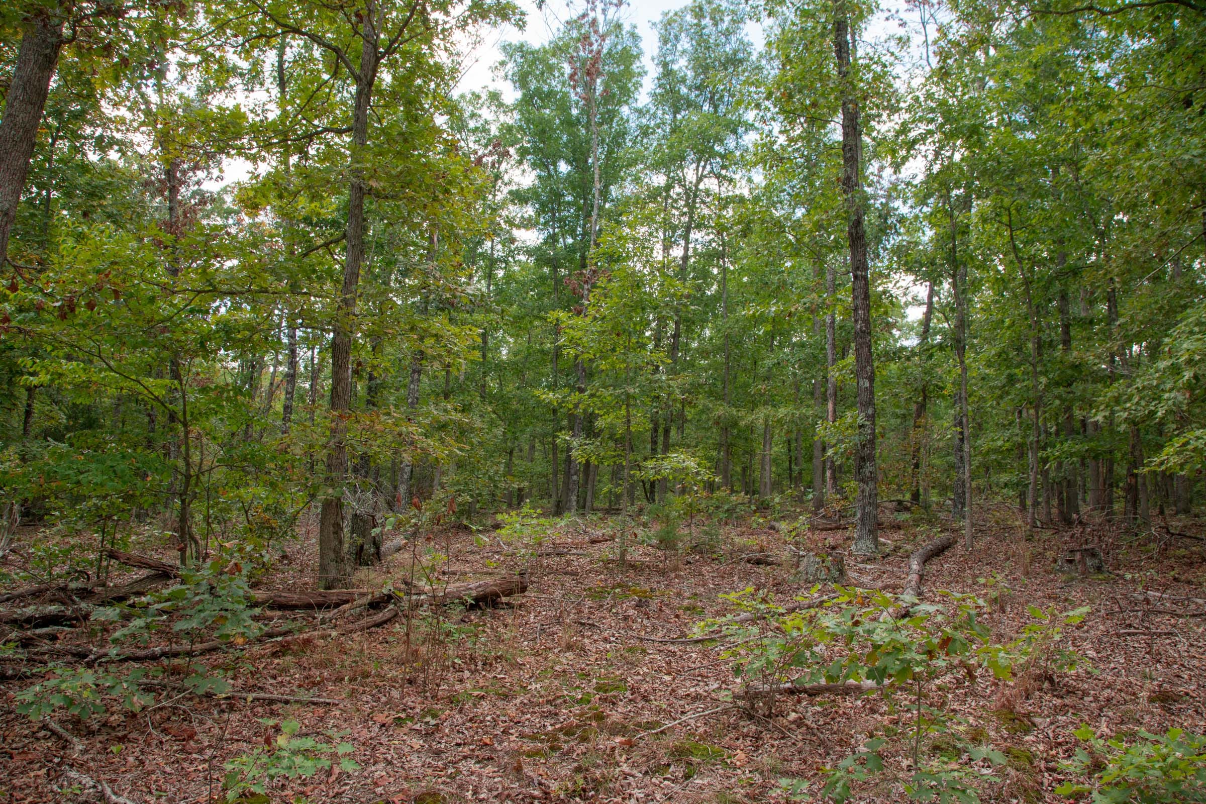 Wagon Wheel Ranch Tract 46 photo 14