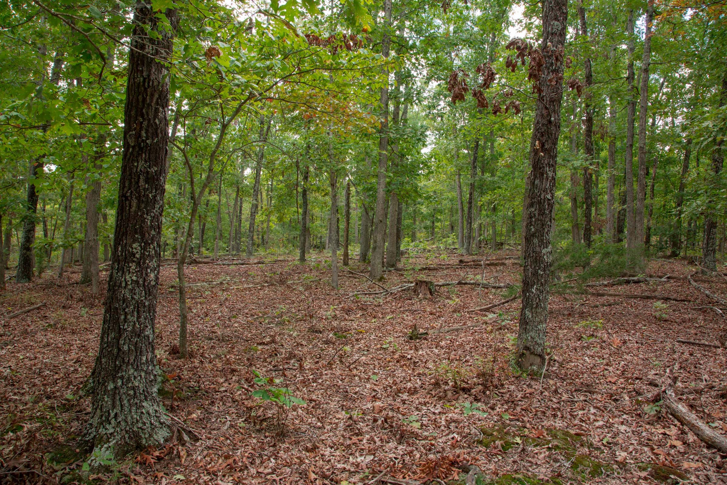 Wagon Wheel Ranch Tract 46 photo 1