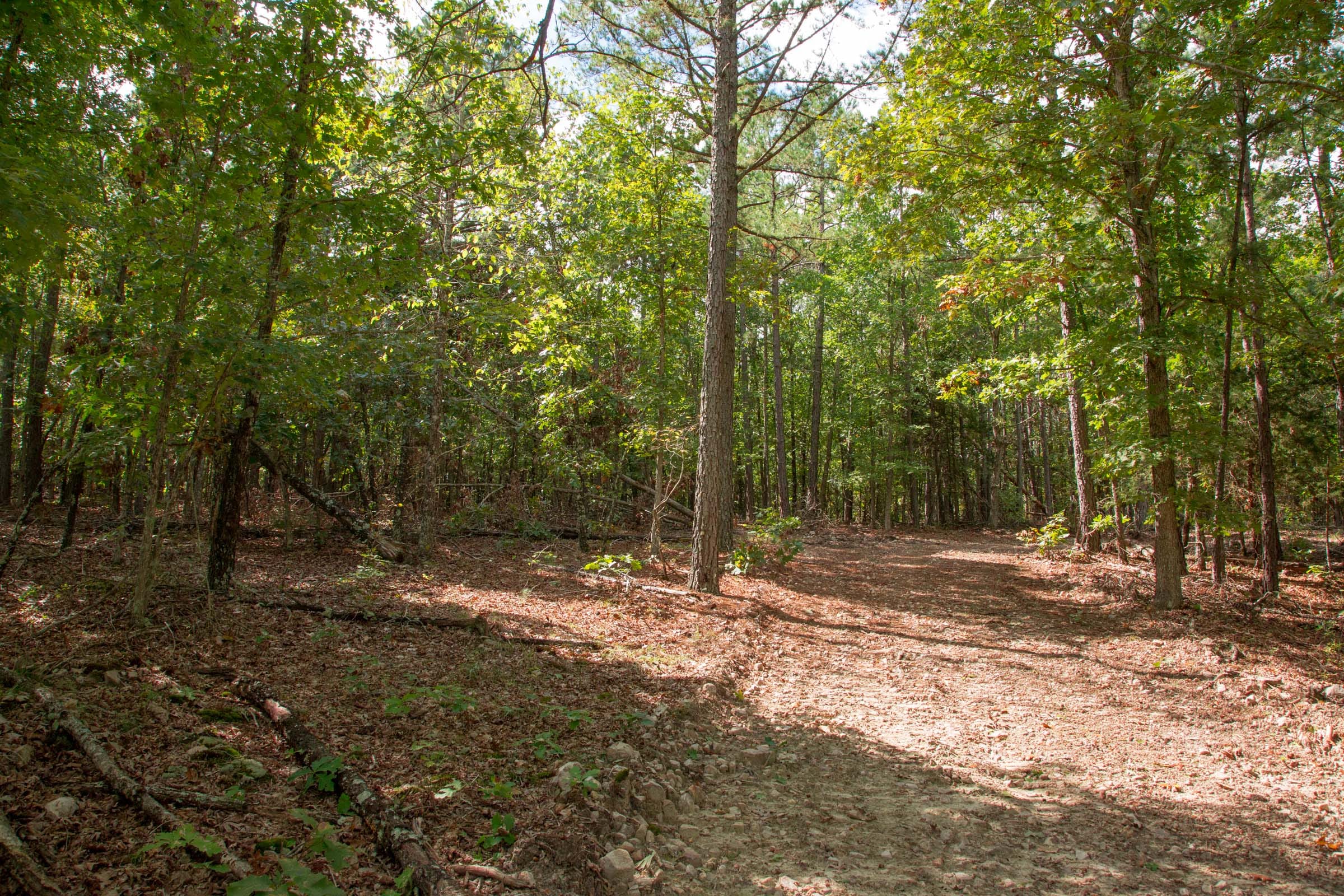 Wagon Wheel Ranch Tract 46 photo 15