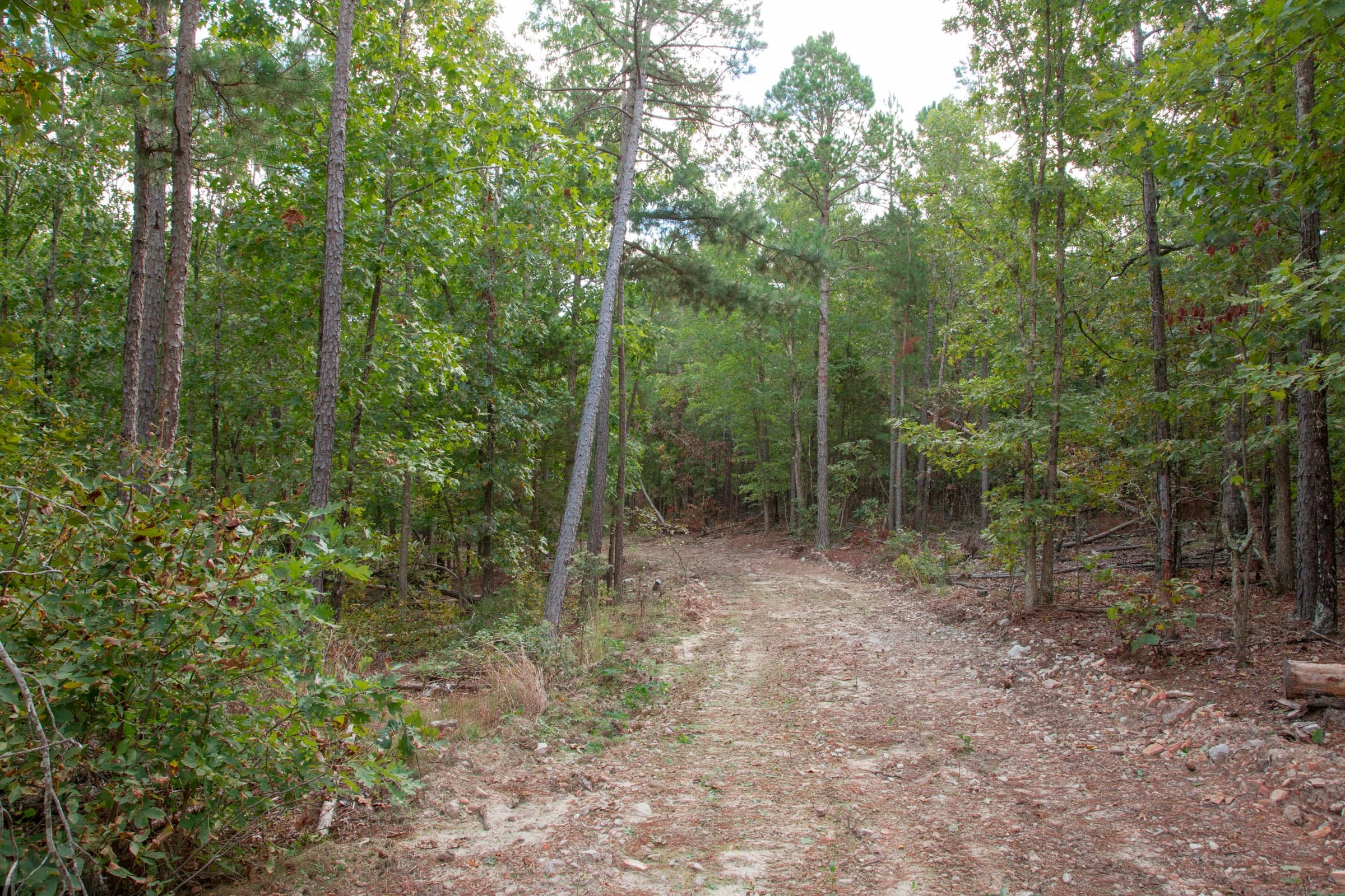 Wagon Wheel Ranch Tract 46 photo 17