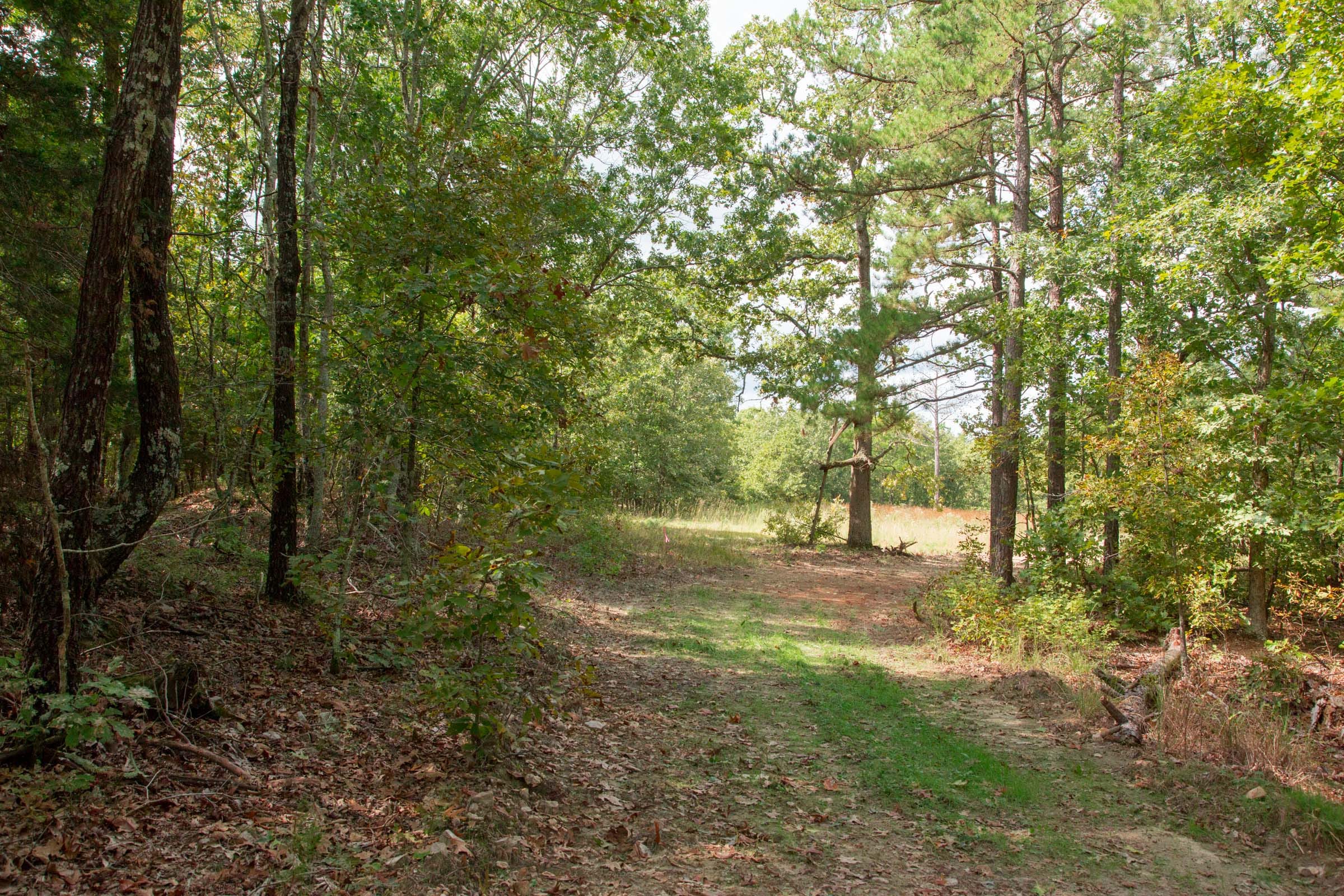 Wagon Wheel Ranch Tract 46 photo 19