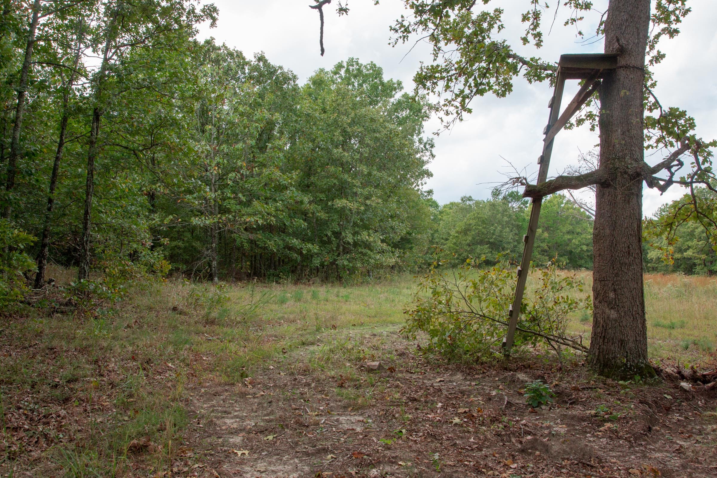 Wagon Wheel Ranch Tract 46 photo 20