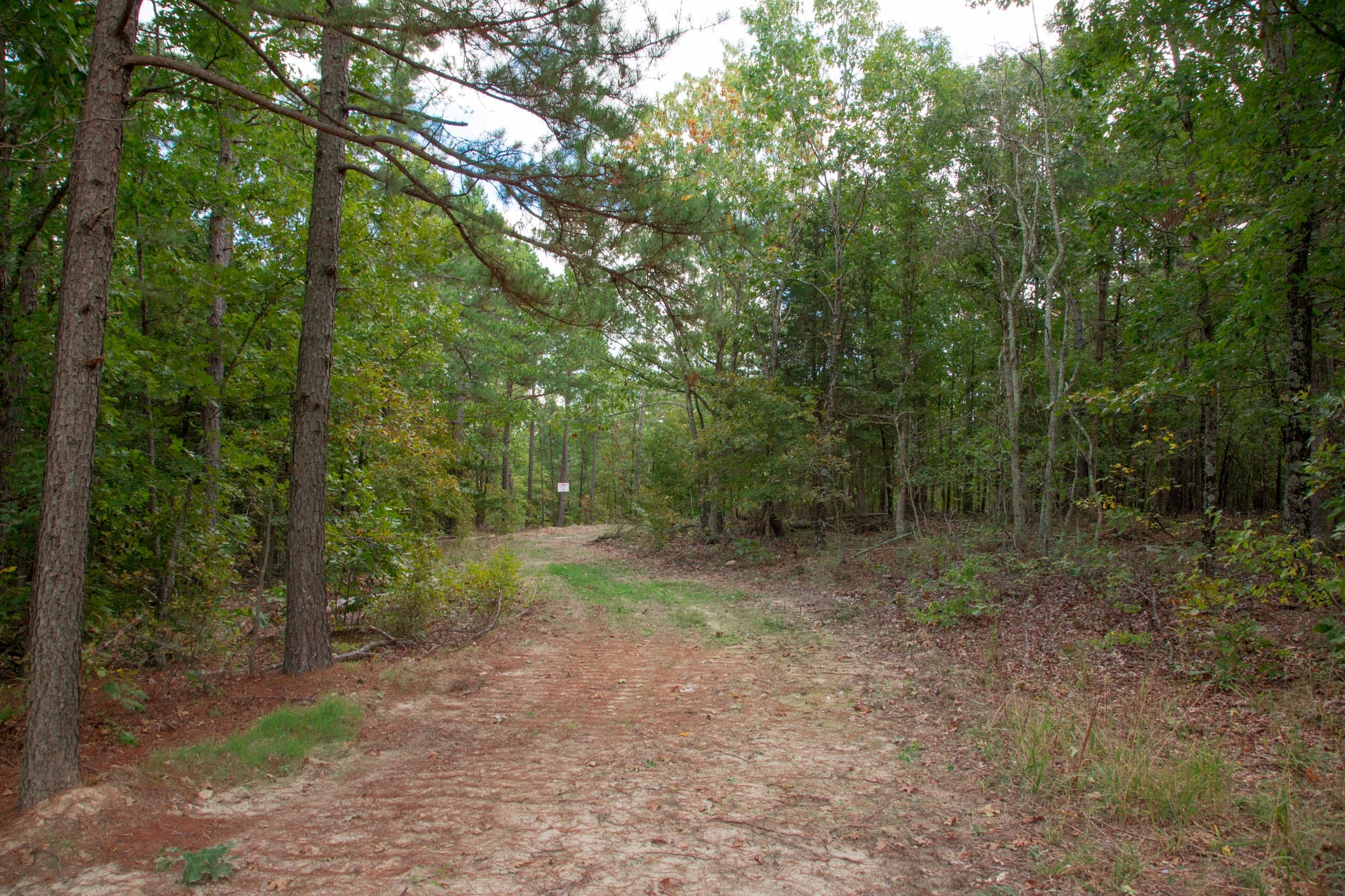 Wagon Wheel Ranch Tract 46 photo 21