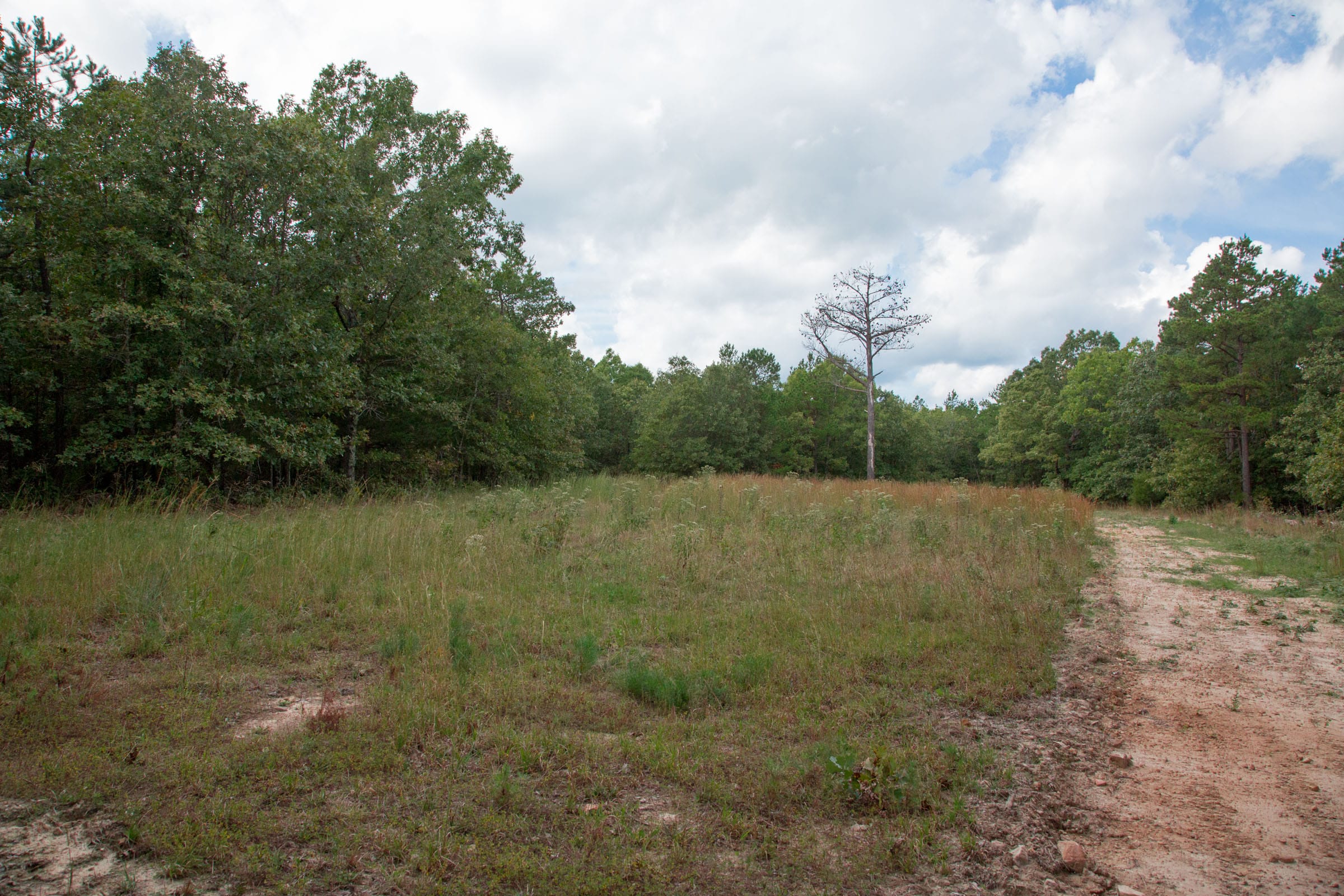 Wagon Wheel Ranch Tract 46 photo 22