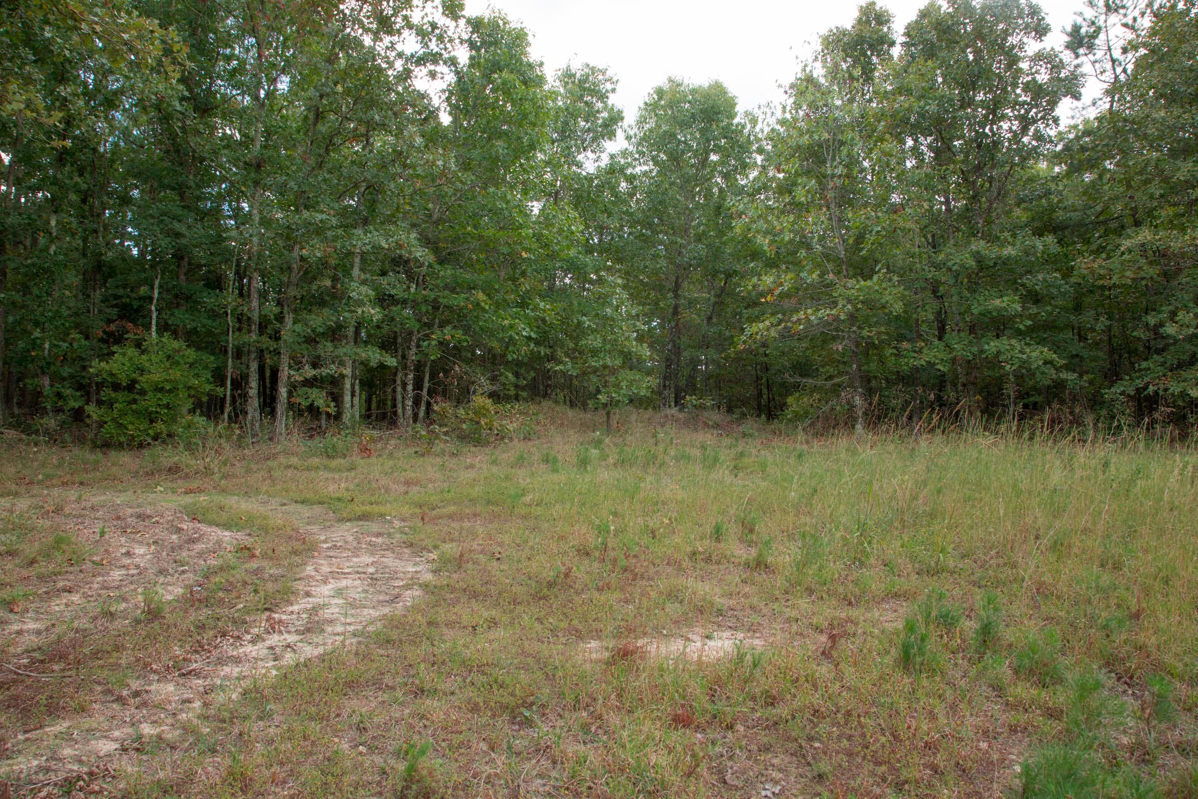 Wagon Wheel Ranch Tract 46 photo 23