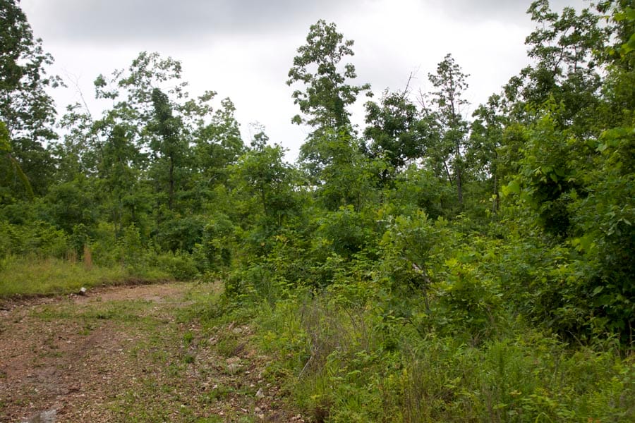 Thunder Mountain Ranch Tract 41 photo 6
