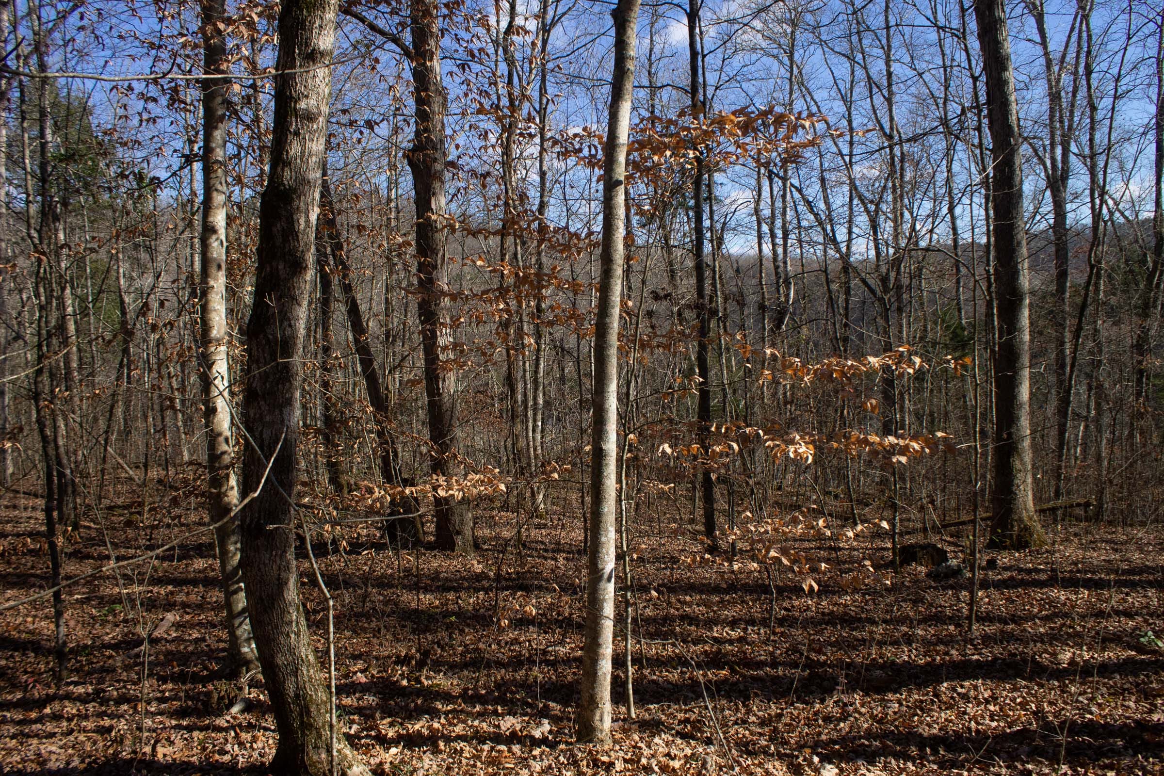 The Cliffs Tract 7 photo 1