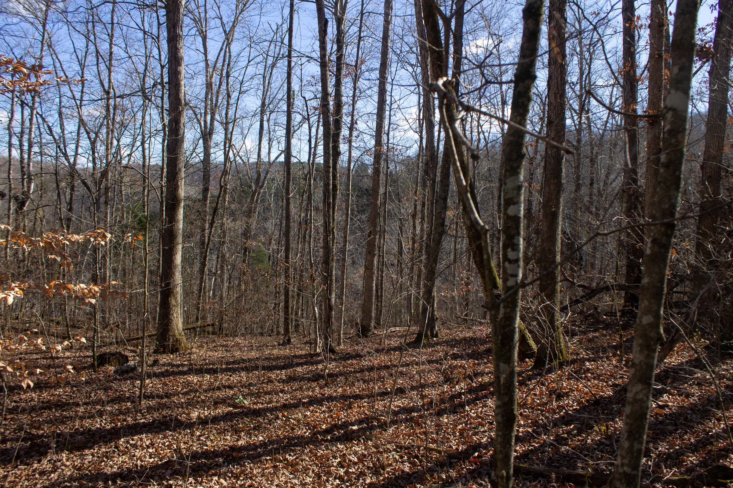 The Cliffs Tract 7 photo 2