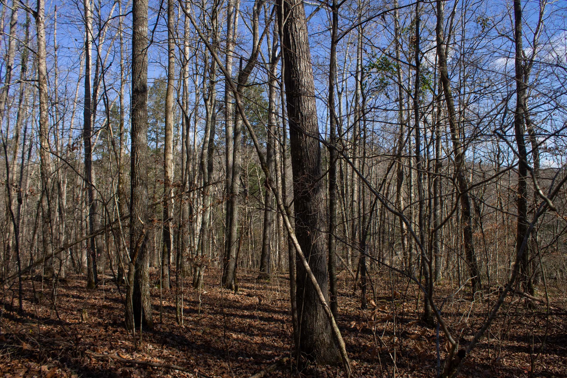 The Cliffs Tract 7 photo 3