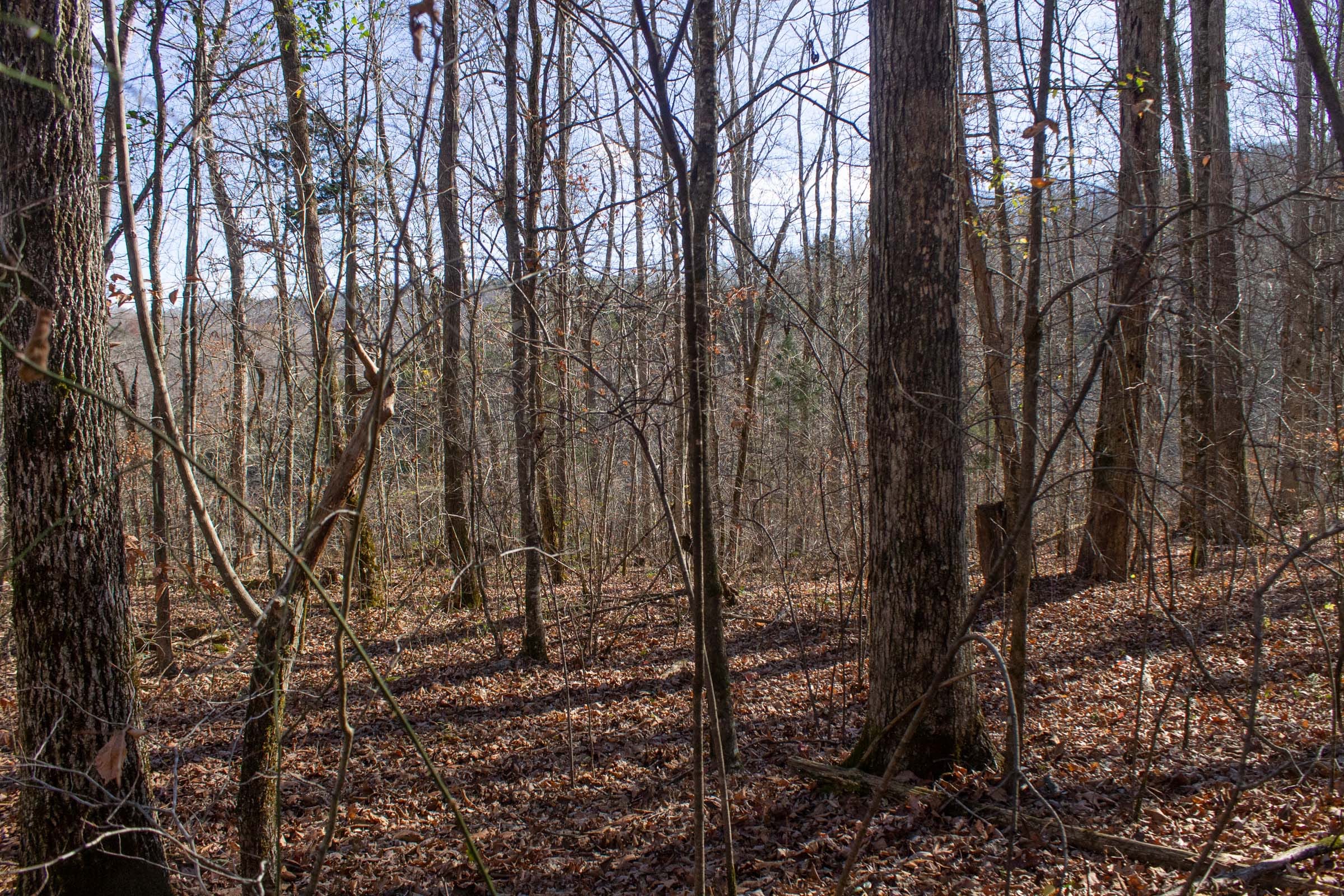 The Cliffs Tract 7 photo 4