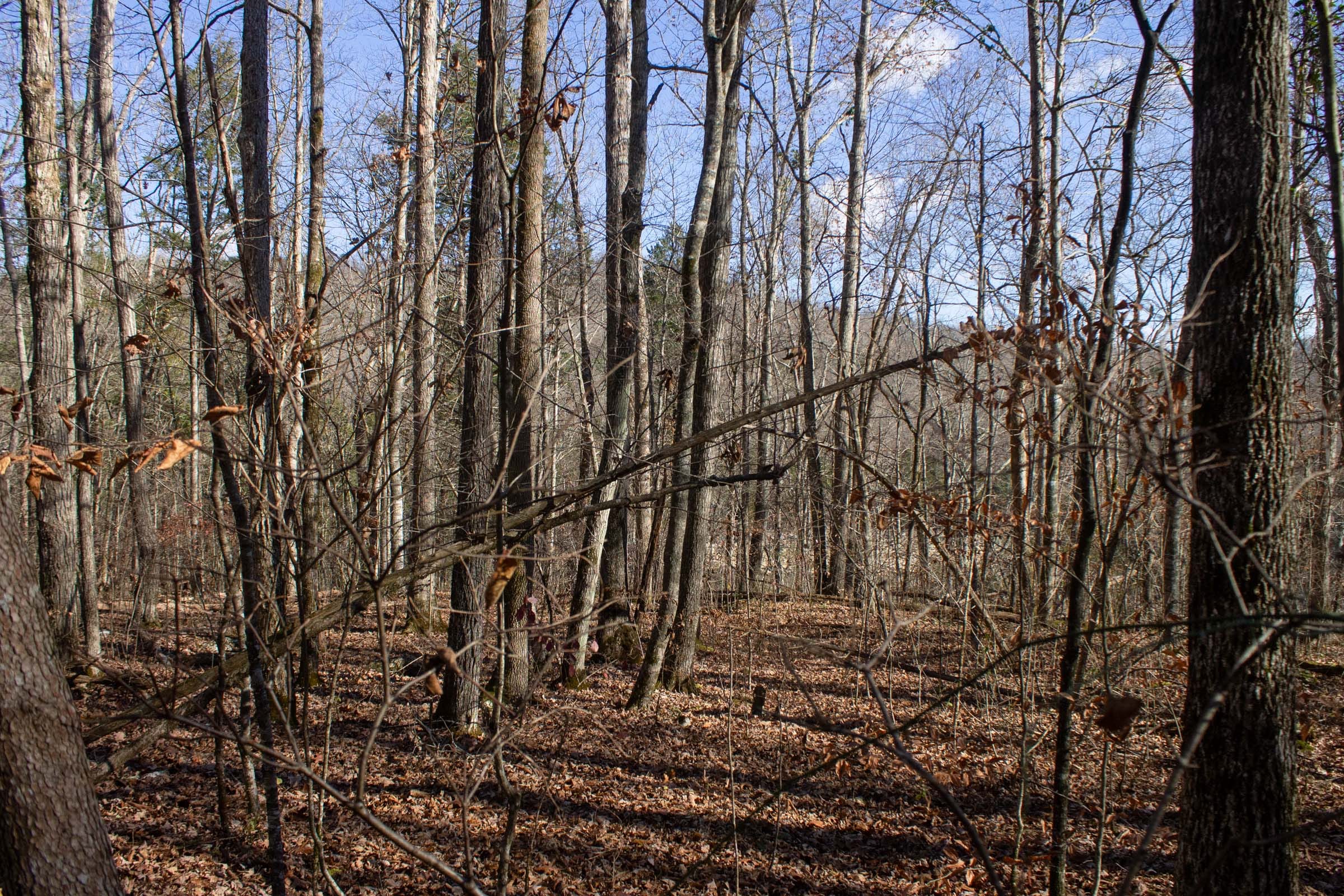 The Cliffs Tract 7 photo 5
