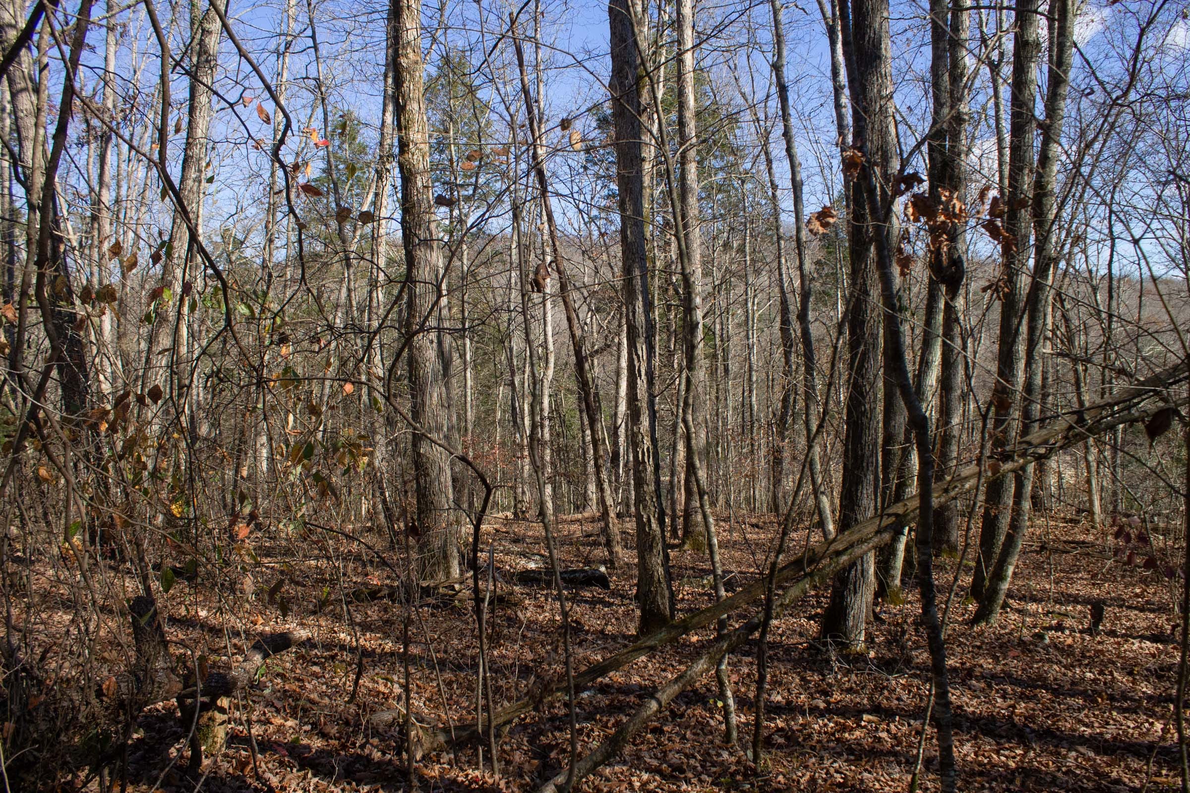 The Cliffs Tract 7 photo 7