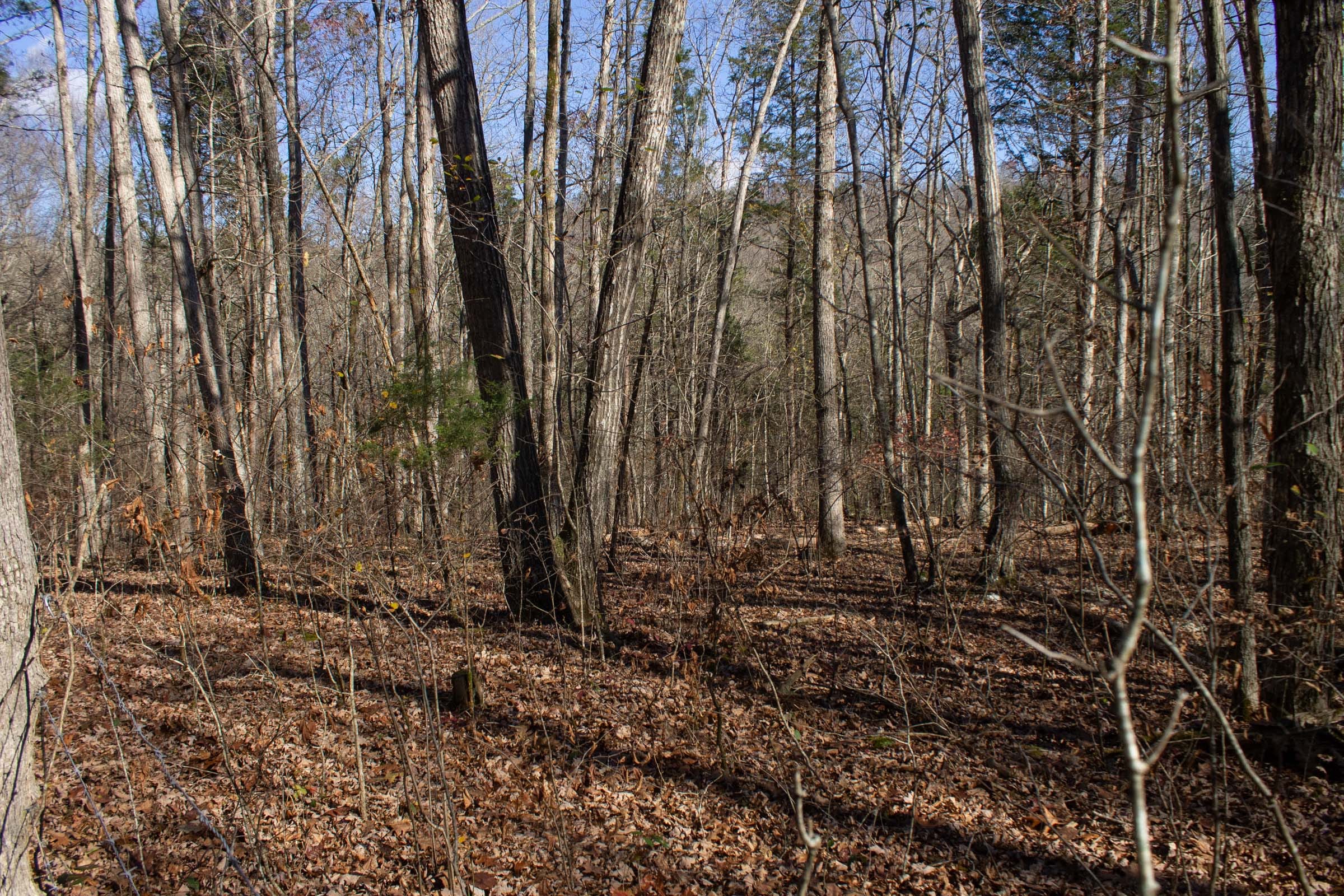 The Cliffs Tract 7 photo 9
