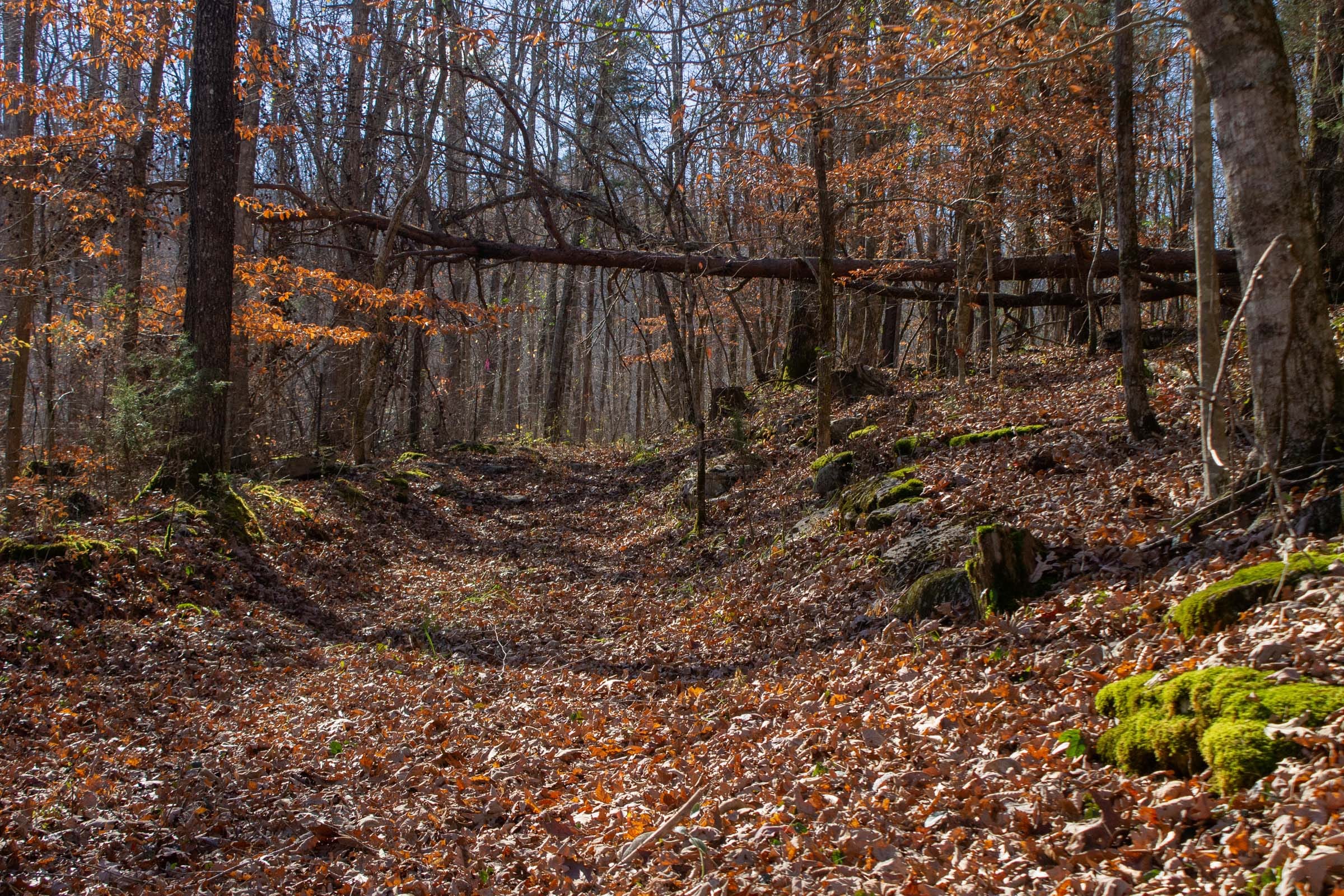 The Cliffs Tract 7 photo 11