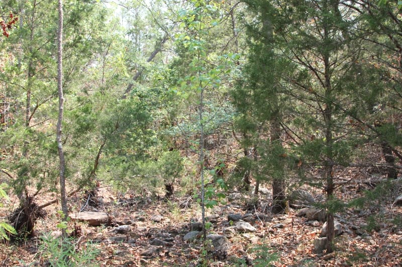 Lake View Ranch Tract 11 photo 3