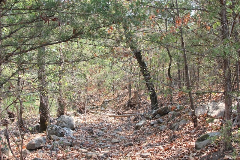 Lake View Ranch Tract 11 photo 1