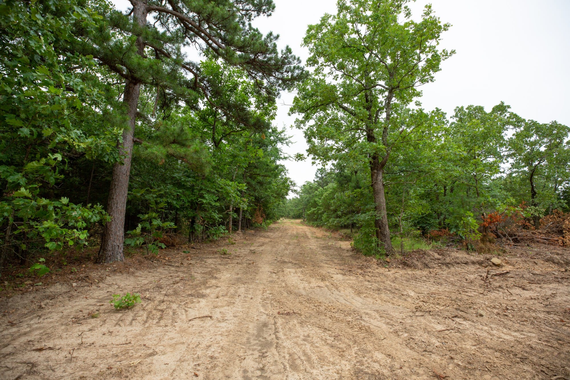 Eagle’s Nest Tract 67 photo 1