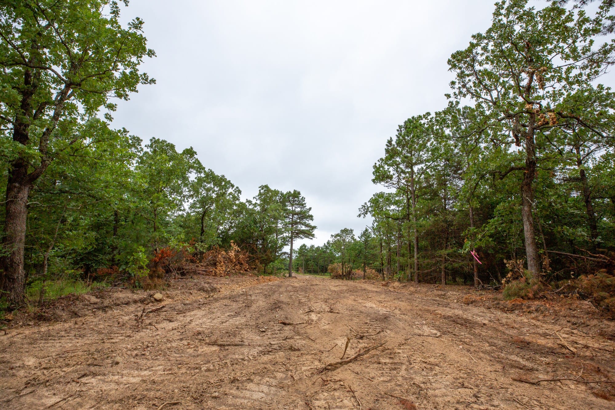 Eagle’s Nest Tract 67 photo 10