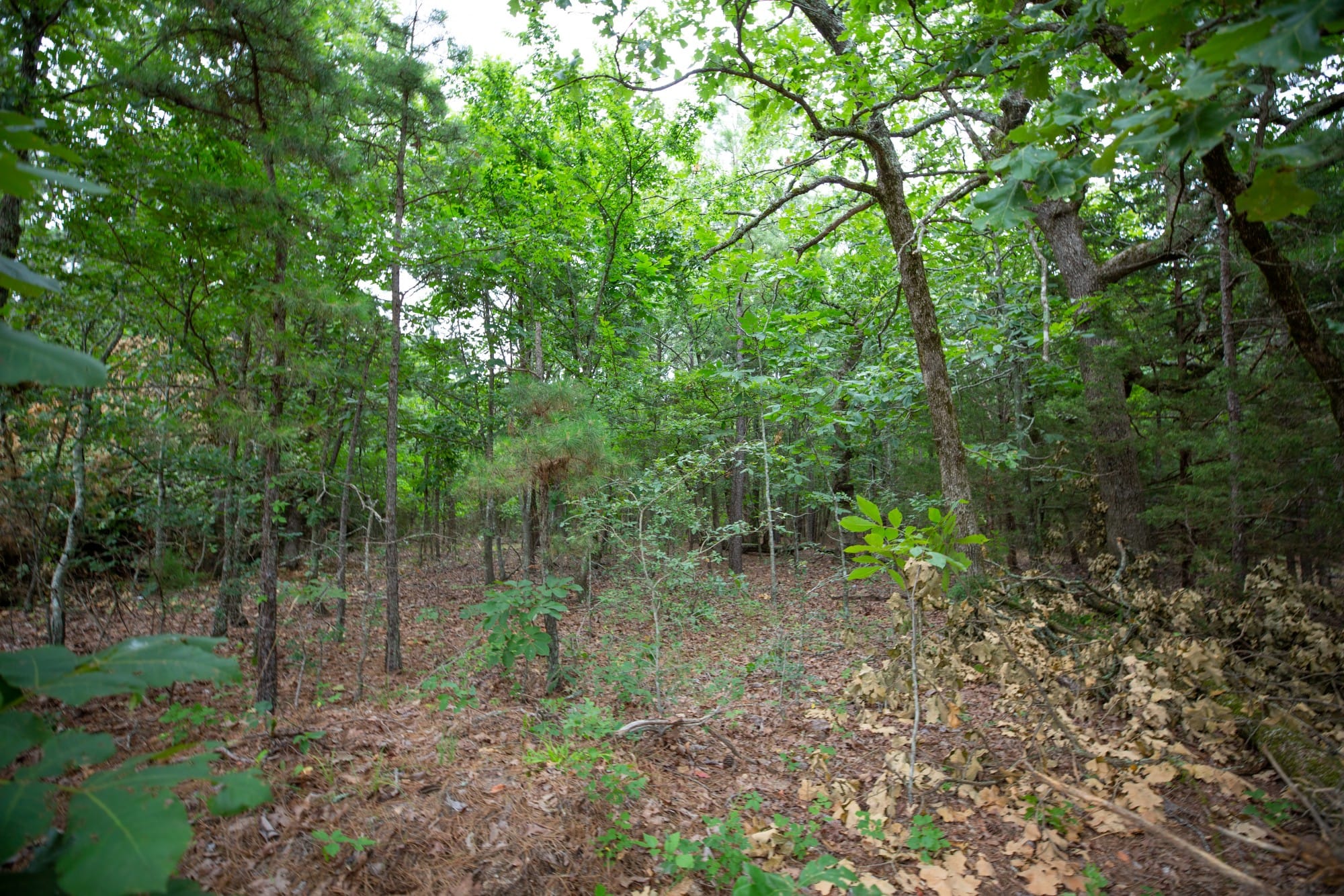 Eagle’s Nest Tract 67 photo 2
