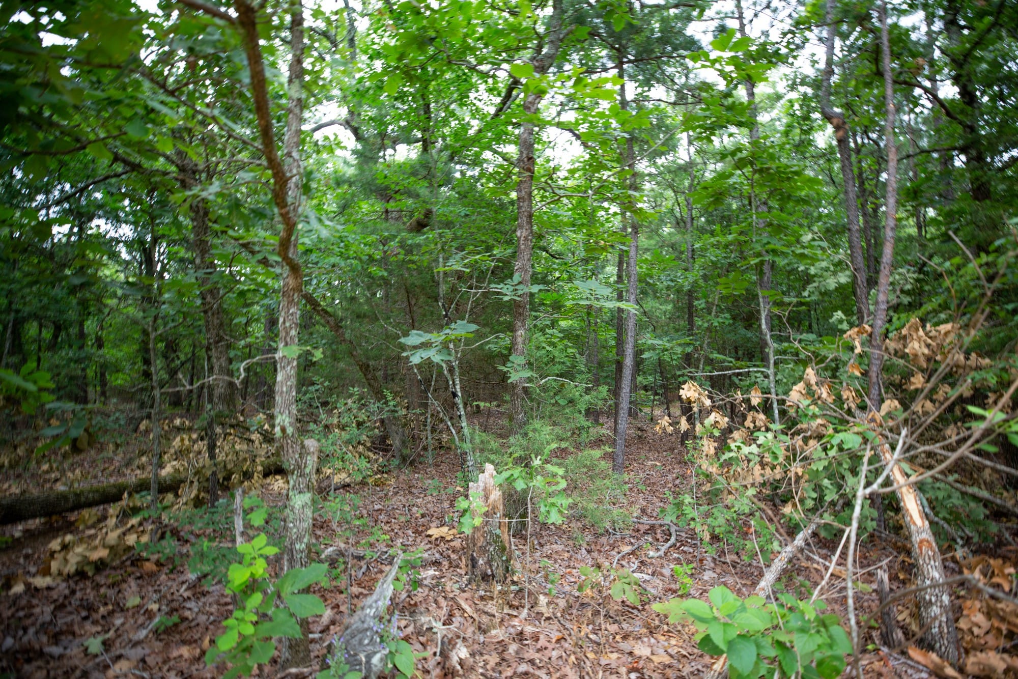 Eagle’s Nest Tract 67 photo 3