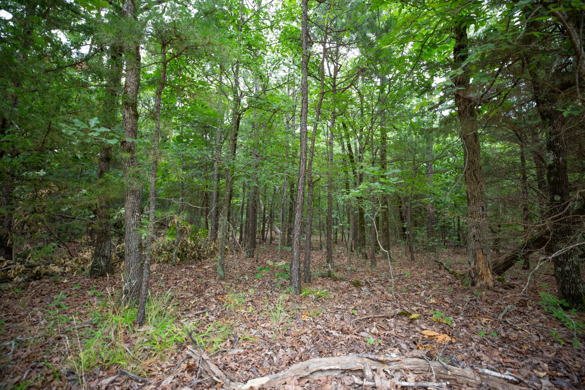 Eagle’s Nest Tract 67 photo 4