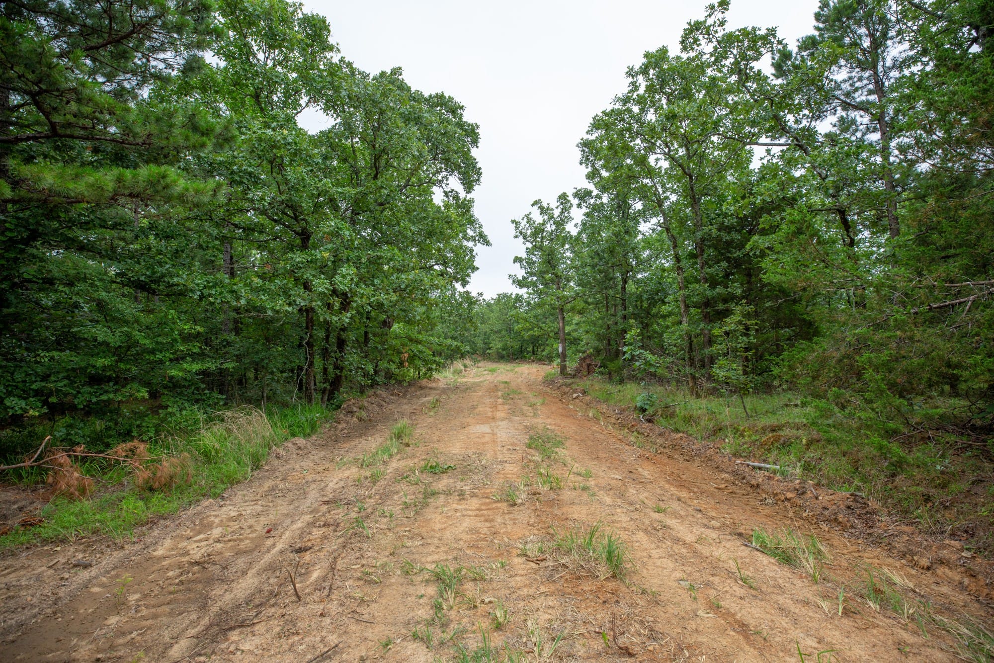 Eagle’s Nest Tract 67 photo 5