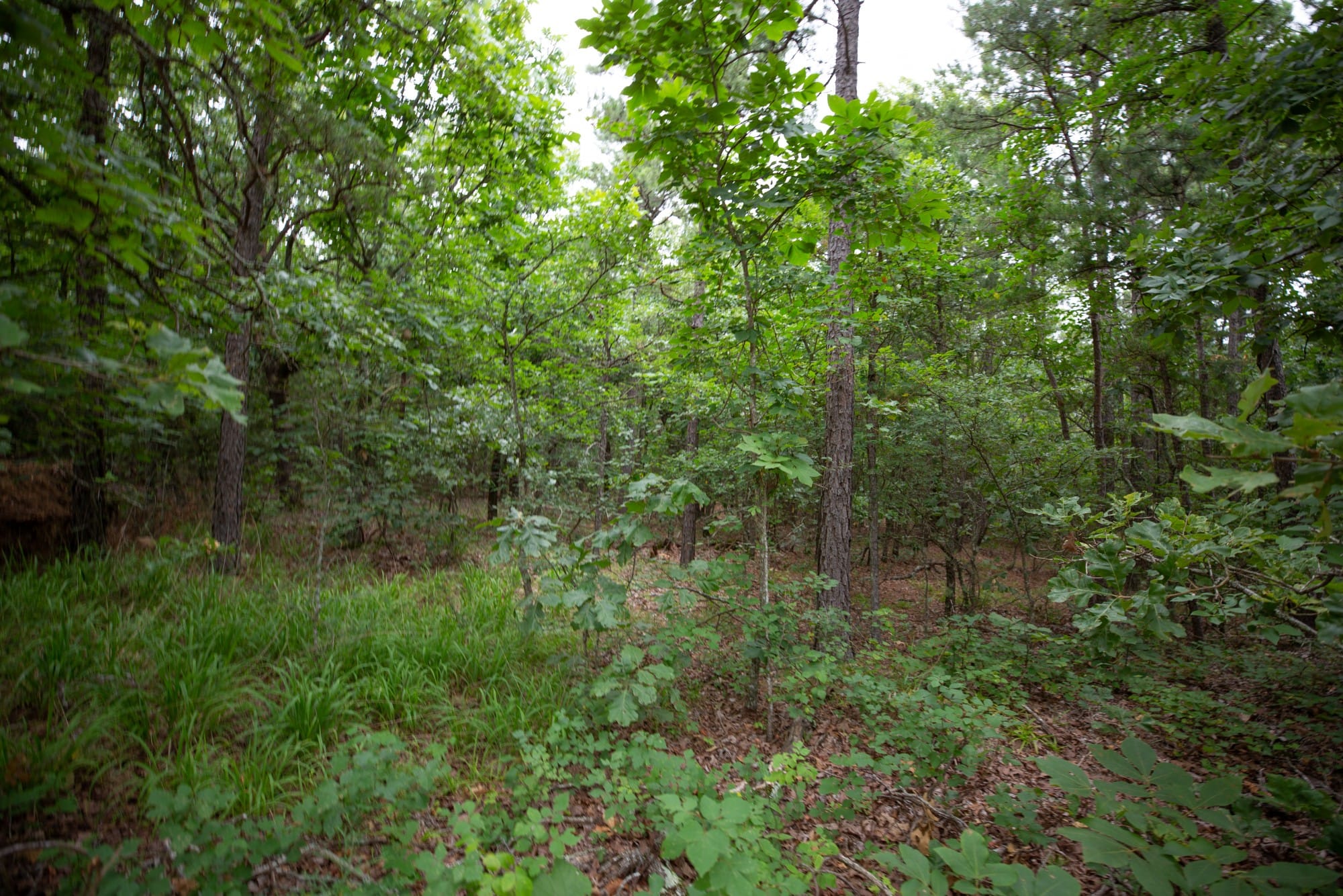 Eagle’s Nest Tract 67 photo 8