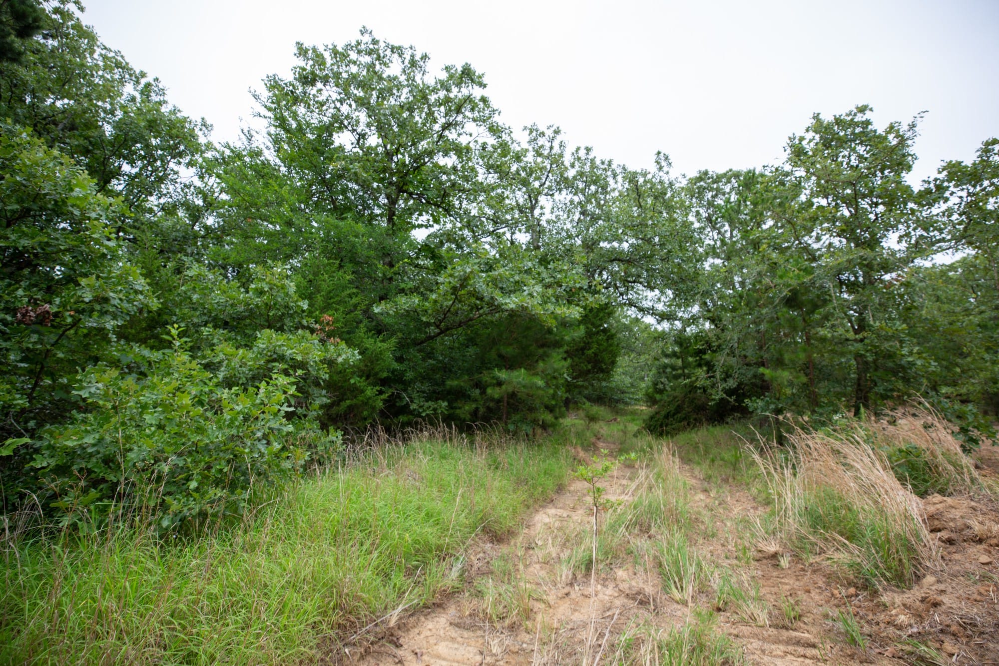 Eagle’s Nest Tract 67 photo 9