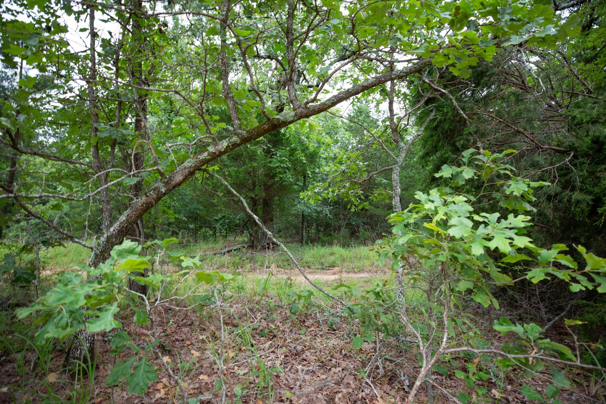 Eagle’s Nest Tract 67 photo 11