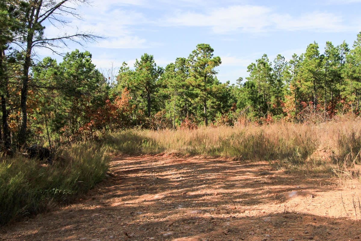 Stone Creek Phase III Tract 49 photo 4
