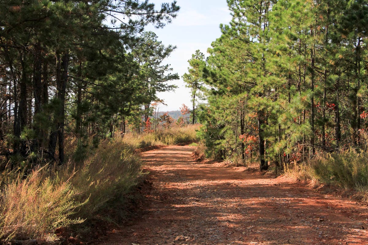 Stone Creek Phase III Tract 49 photo 8