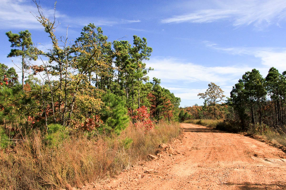 Stone Creek Phase III Tract 49 photo 12