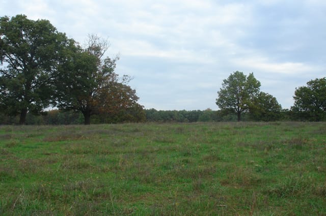 Valley View Ranch Tract 10 photo 3