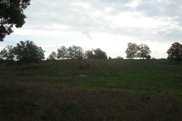 Valley View Ranch Tract 10 photo 4
