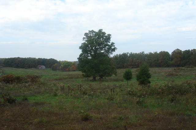 Valley View Ranch Tract 10 photo 6
