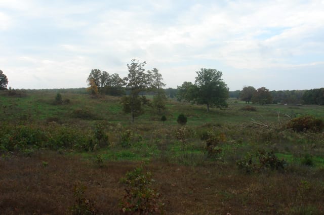 Valley View Ranch Tract 10 photo 7