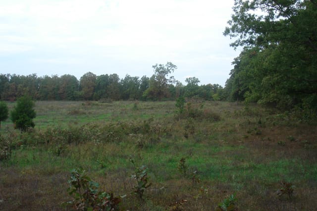 Valley View Ranch Tract 10 photo 8
