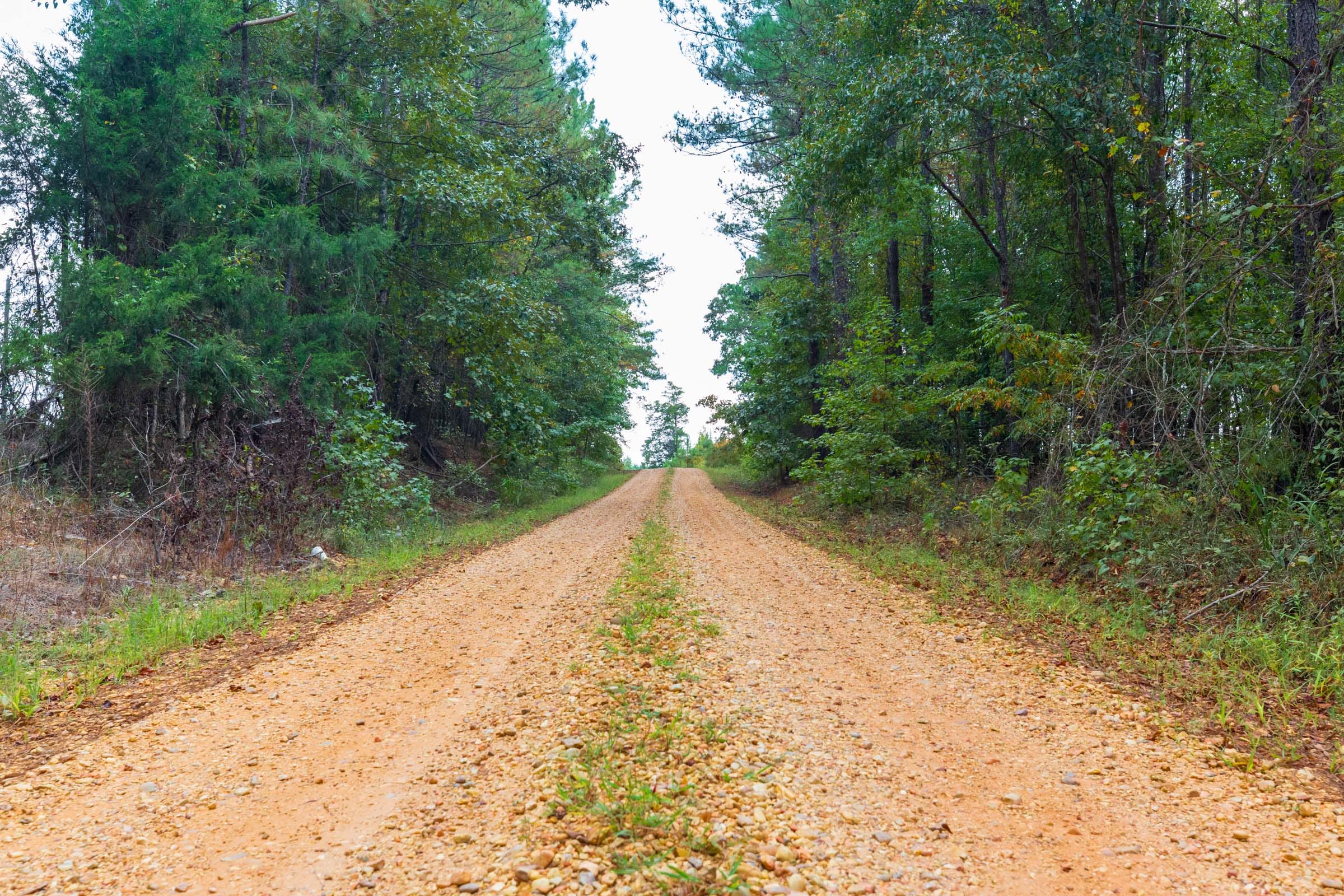 Willow Grove Tract 2 photo 1