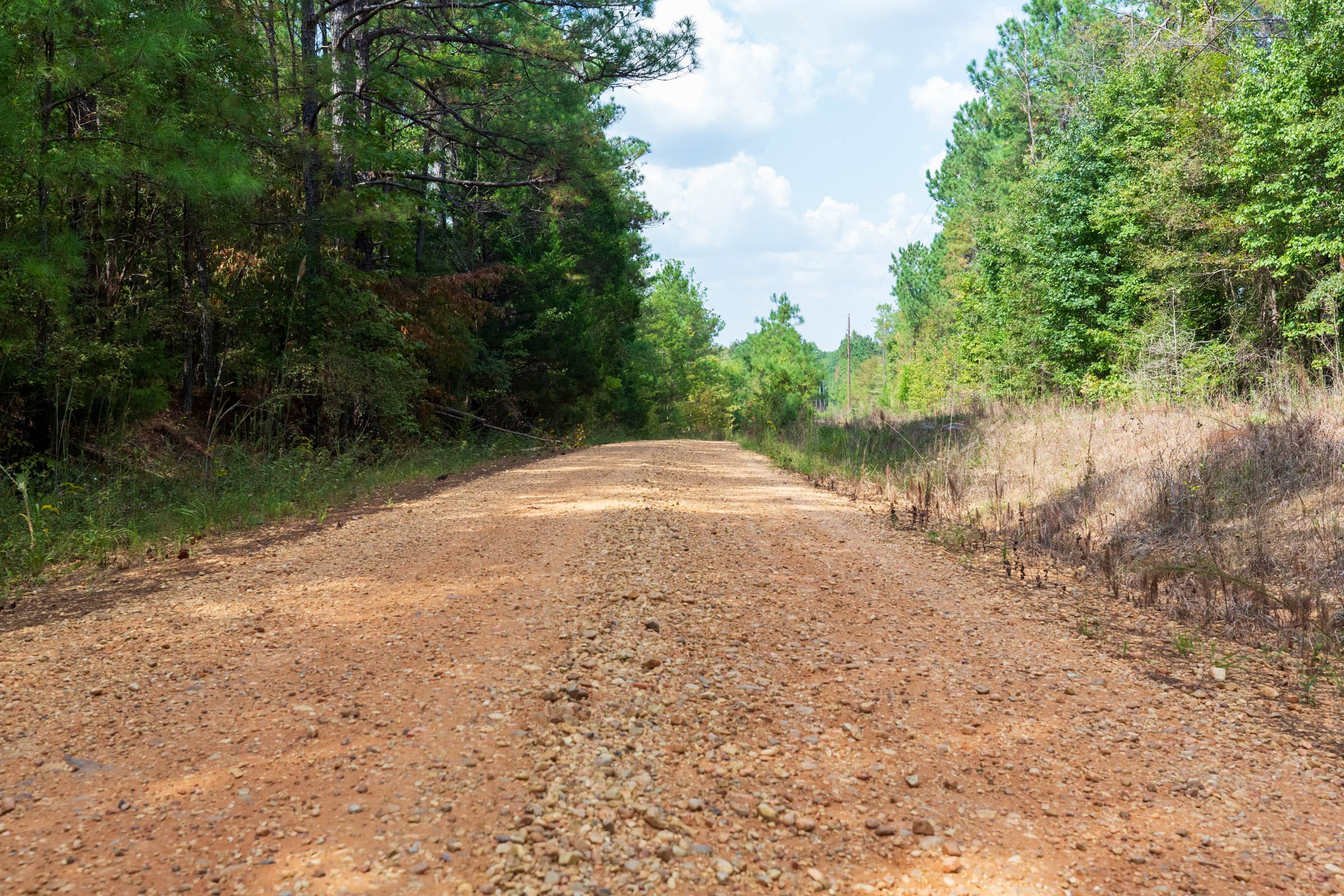 Willow Grove Tract 2 photo 4