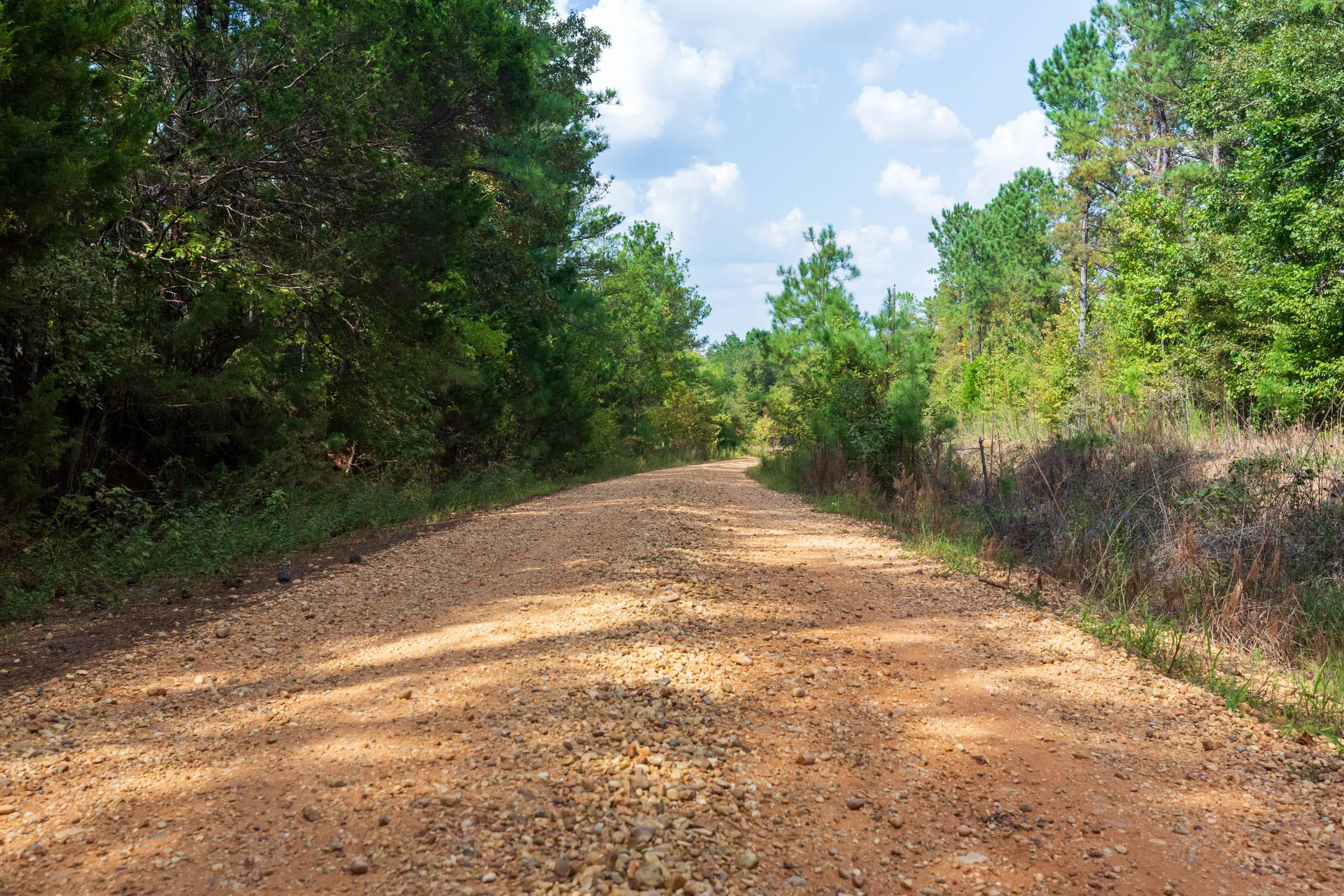 Willow Grove Tract 2 photo 8