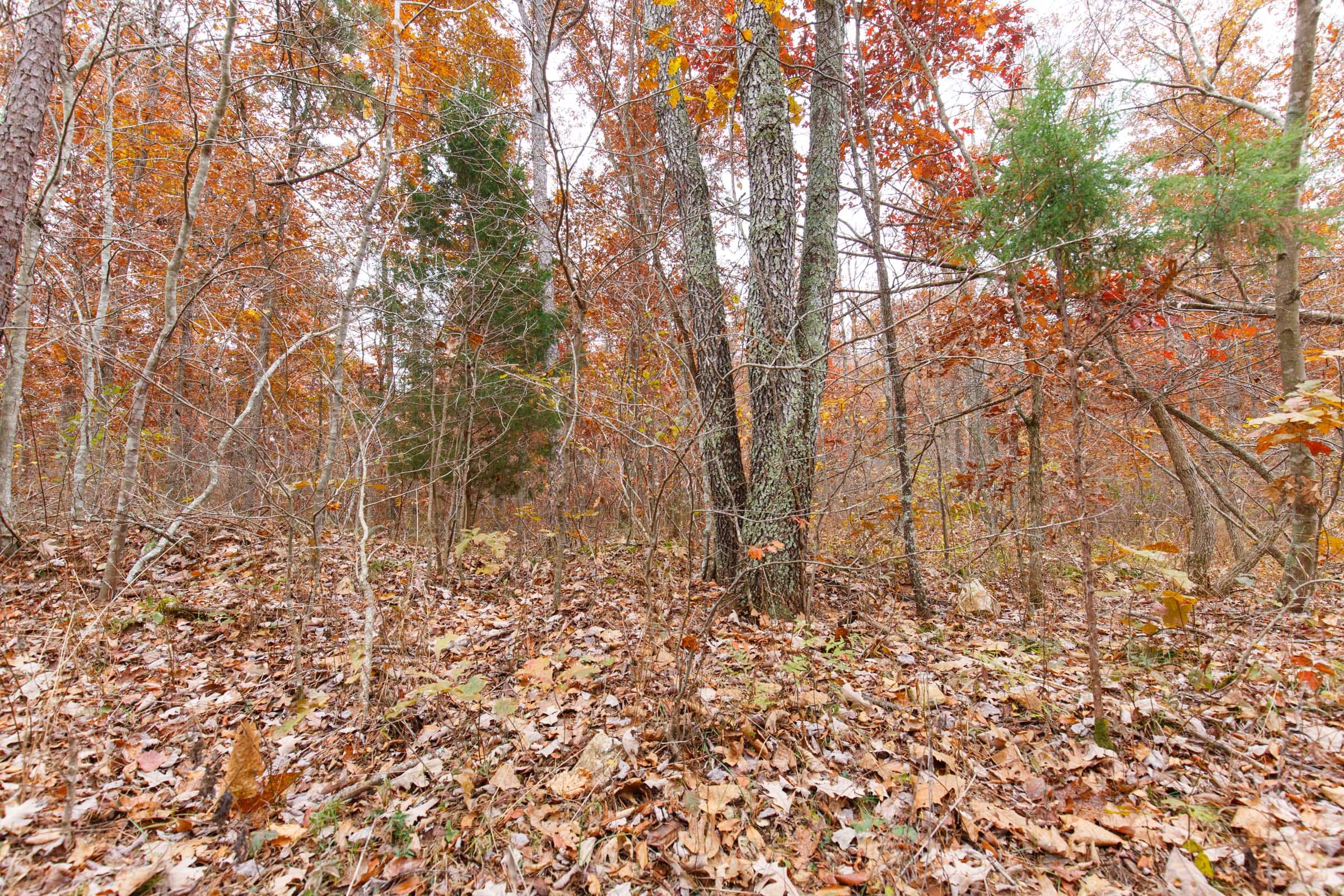 Hawkcrest Tract 26 photo 2
