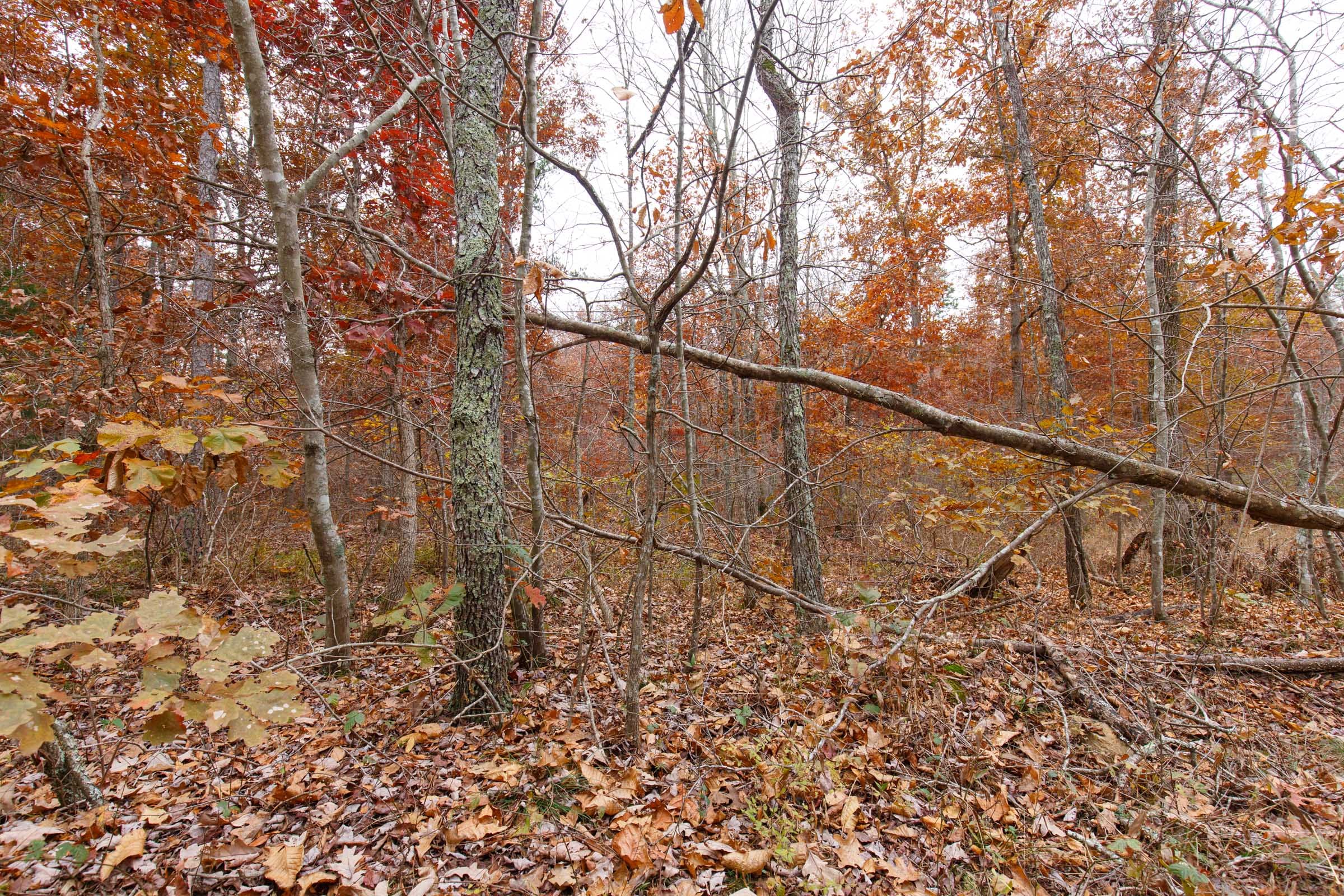 Hawkcrest Tract 26 photo 8