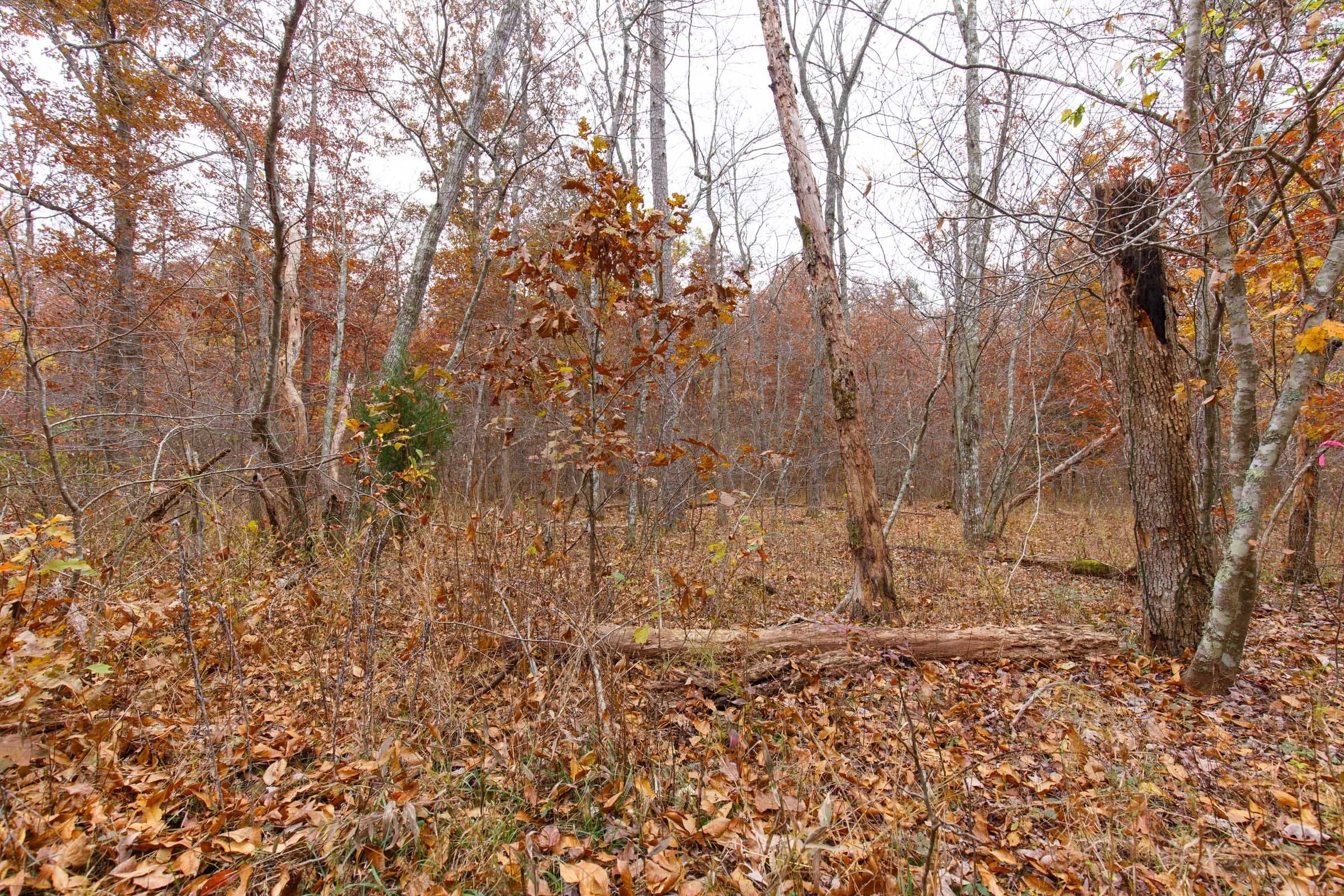 Hawkcrest Tract 26 photo 9