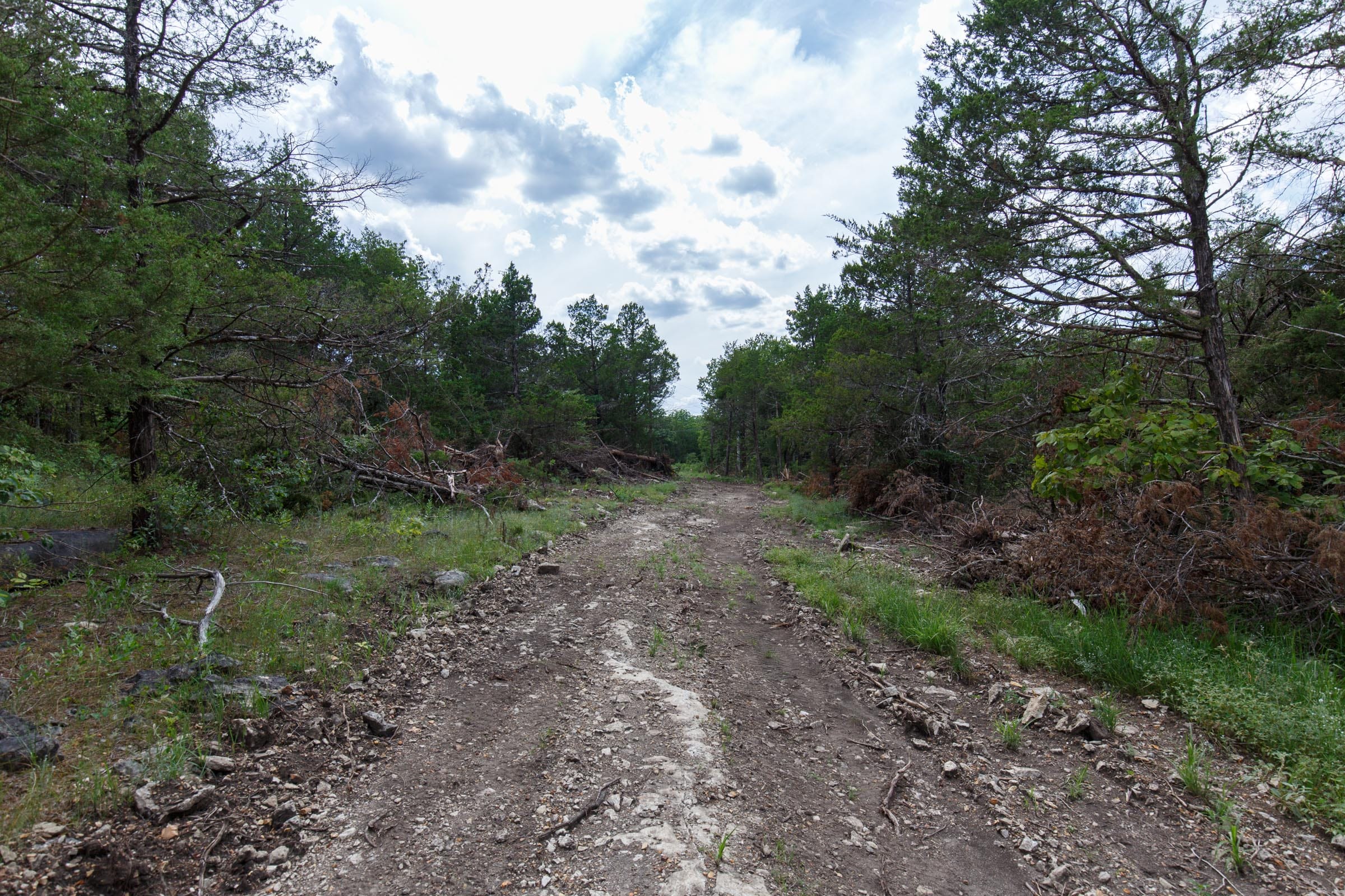 Wildwood Tract 34 photo 7